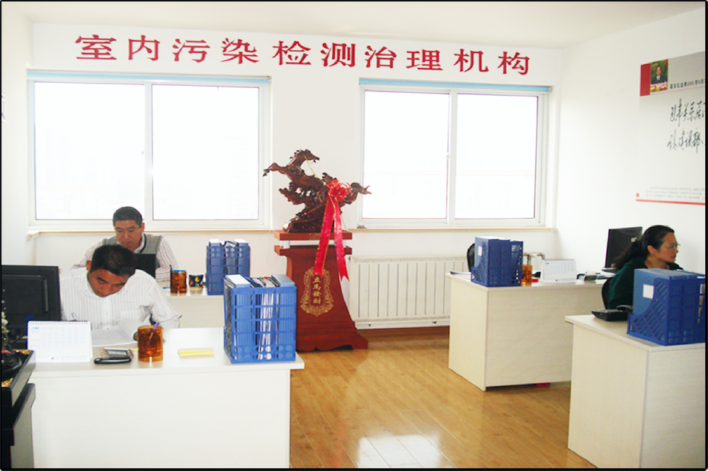 2009年空气净化除甲醛服务